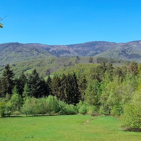 Ville Centre - Gite Le Villois - Au Coeur De L'Alsace Zewnętrze zdjęcie