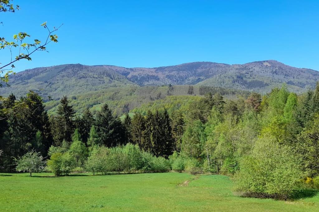Ville Centre - Gite Le Villois - Au Coeur De L'Alsace Zewnętrze zdjęcie