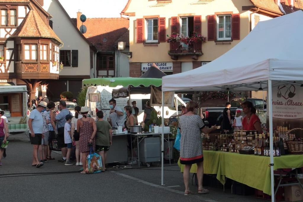 Ville Centre - Gite Le Villois - Au Coeur De L'Alsace Zewnętrze zdjęcie