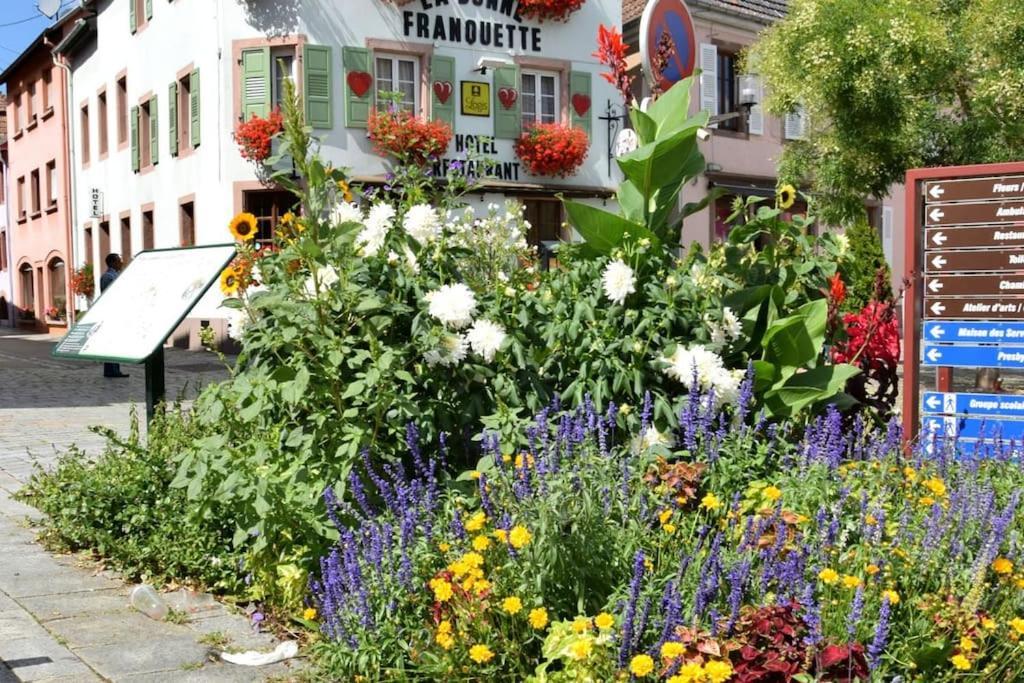 Ville Centre - Gite Le Villois - Au Coeur De L'Alsace Zewnętrze zdjęcie