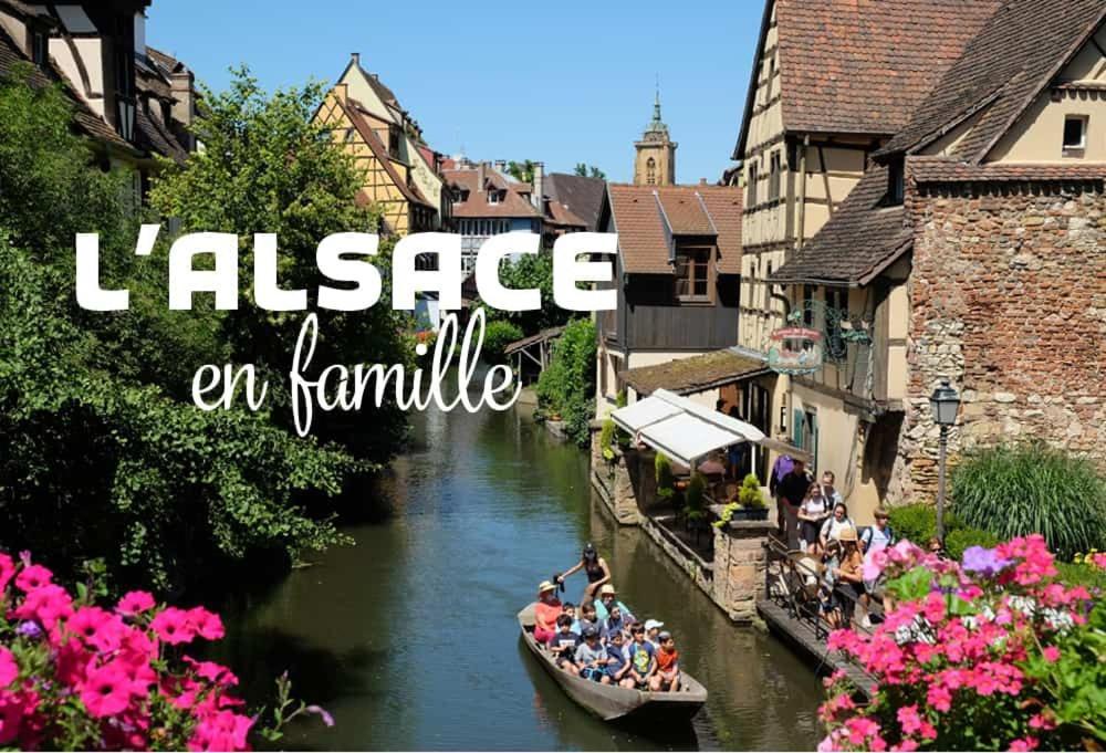 Ville Centre - Gite Le Villois - Au Coeur De L'Alsace Zewnętrze zdjęcie